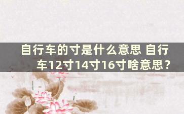 自行车的寸是什么意思 自行车12寸14寸16寸啥意思？